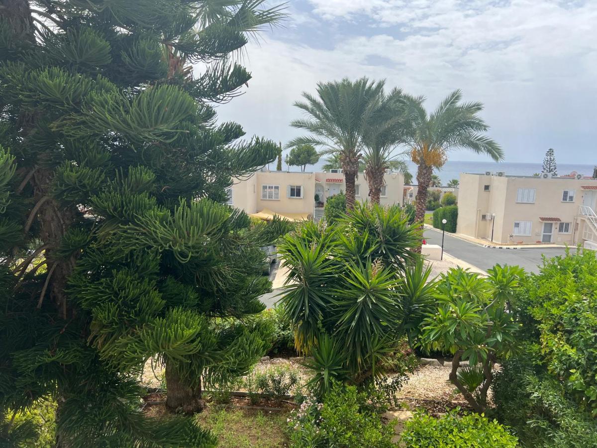 Modern Seaview Townhouse In Coral Bay (Adults Only) Apartment Peyia Ngoại thất bức ảnh
